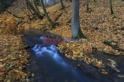 Ojcowski Park Narodowy Adam Ławnik