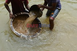 Szafiry ze Sri Lanki - AFP