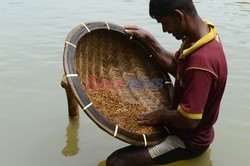 Szafiry ze Sri Lanki - AFP