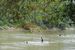 Szafiry ze Sri Lanki - AFP