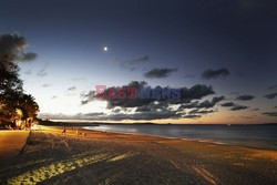 Serwowane z grila na plaży w Noosa, Queensland - Jalag