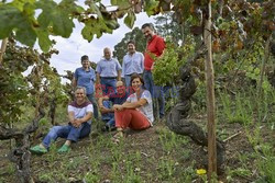 Portugalskie winnice - Jalag