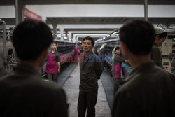 Fabryka jedwabiu w Pyongyang - AFP