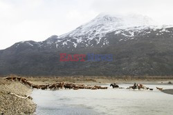 Ranczerzy z Patagonii - Redux
