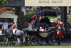 Ascot 2016