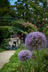 Giverny - W ogrodach Claude Moneta - Le Figaro