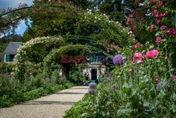 Giverny - W ogrodach Claude Moneta - Le Figaro