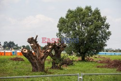 Przygotowania w Brzegach na ŚDM