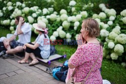 ŚDM 2016 - Częstochowa przed wizytą Papieża