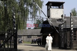 ŚDM 2016 - Auschwitz-Birkenau