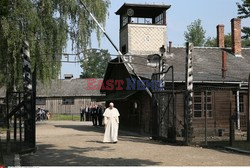 ŚDM 2016 - Auschwitz-Birkenau