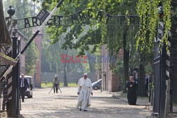 ŚDM 2016 - Auschwitz-Birkenau