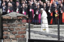 ŚDM 2016 - Auschwitz-Birkenau