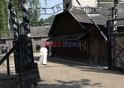 ŚDM 2016 - Auschwitz-Birkenau