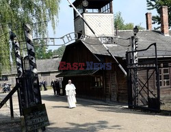 ŚDM 2016 - Auschwitz-Birkenau