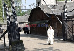 ŚDM 2016 - Auschwitz-Birkenau