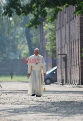 ŚDM 2016 - Auschwitz-Birkenau