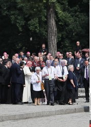 ŚDM 2016 - Auschwitz-Birkenau