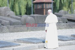 ŚDM 2016 - Auschwitz-Birkenau