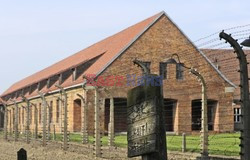 ŚDM 2016 - Auschwitz-Birkenau