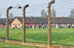 ŚDM 2016 - Auschwitz-Birkenau