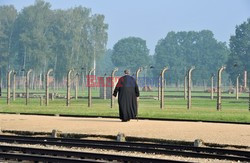 ŚDM 2016 - Auschwitz-Birkenau