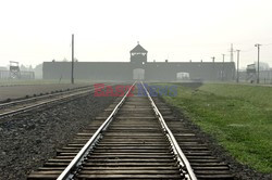 ŚDM 2016 - Auschwitz-Birkenau