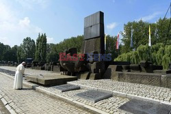 ŚDM 2016 - Auschwitz-Birkenau