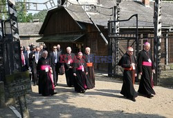 ŚDM 2016 - Auschwitz-Birkenau