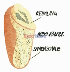 Jahreszeiten Verlag ftp August 2016 Food