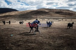 Wyścigi konne w Lesotho