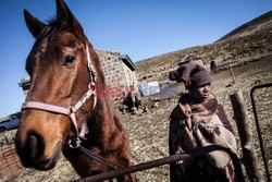 Wyścigi konne w Lesotho