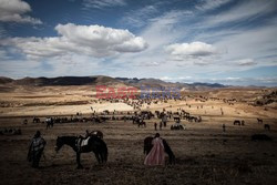 Wyścigi konne w Lesotho