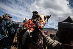 Wyścigi konne w Lesotho