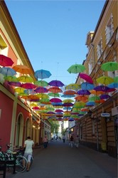 Wielkopolska Marek Bazak