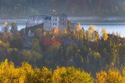 PIENINY AdLa