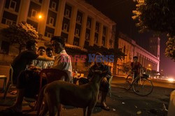 Zabłąkane psy w Yangon - AFP