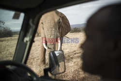 Rezerwat Samburu w Kenii - Eyevine