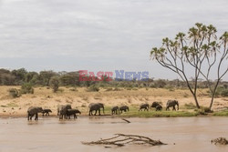 Rezerwat Samburu w Kenii - Eyevine