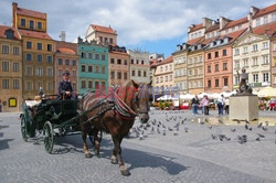 Warszawa Marek Bazak