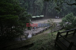 Park narodowy Alishan - Sipa