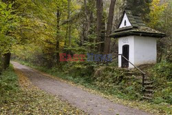 PIENINSKI PARK NARODOWY AdLa