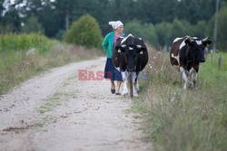 PODLASIE AdLa