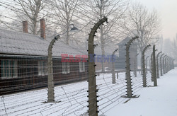 72. rocznica wyzwolenia obozu koncentracyjnego Auschwitz