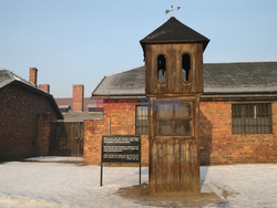 72. rocznica wyzwolenia obozu koncentracyjnego Auschwitz