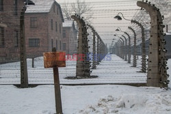 72. rocznica wyzwolenia obozu koncentracyjnego Auschwitz