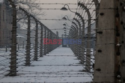 72. rocznica wyzwolenia obozu koncentracyjnego Auschwitz