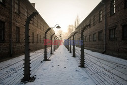 72. rocznica wyzwolenia obozu koncentracyjnego Auschwitz