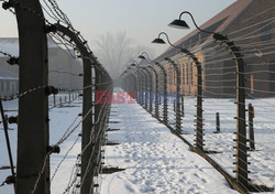 72. rocznica wyzwolenia obozu koncentracyjnego Auschwitz