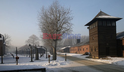 72. rocznica wyzwolenia obozu koncentracyjnego Auschwitz